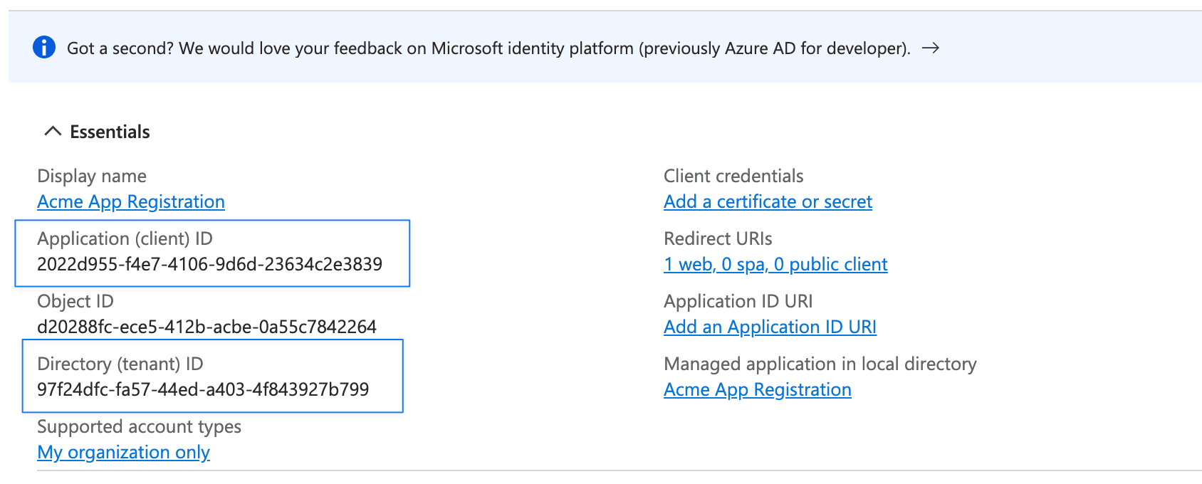 Azure App Registration overview page showing Application ID and Directory ID